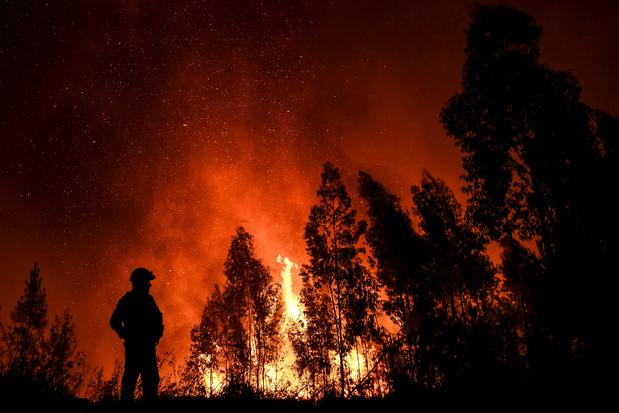 Pourquoi Le Portugal Est Il Si Vulnérable Aux Incendies - 
