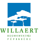 Willaert